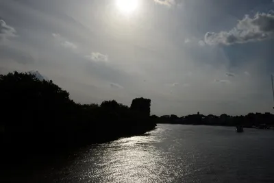 DSC_2507 (Large).JPG